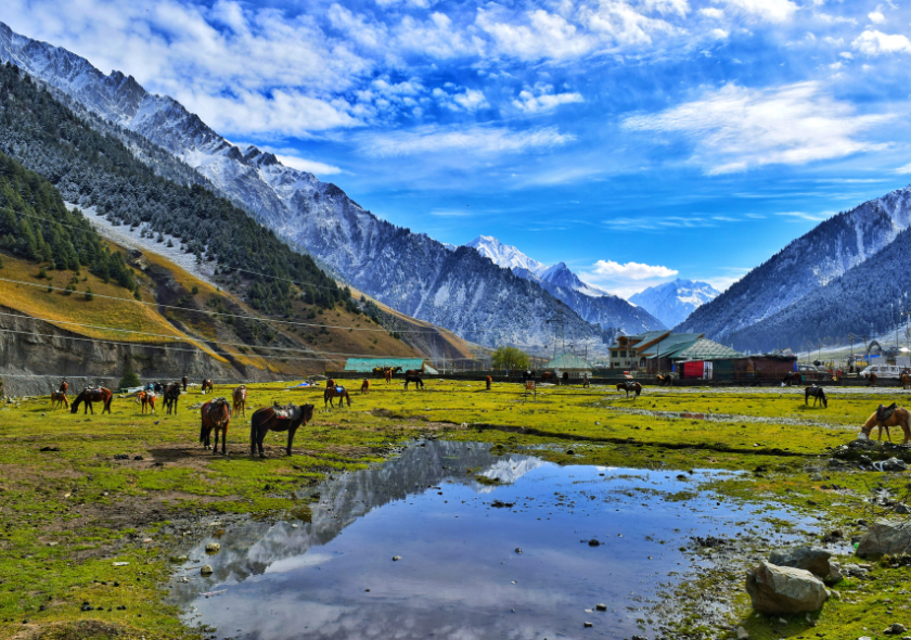 Your Perfect Honeymoon Awaits
