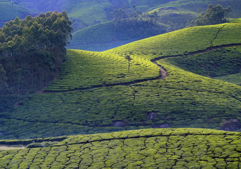 Kerala