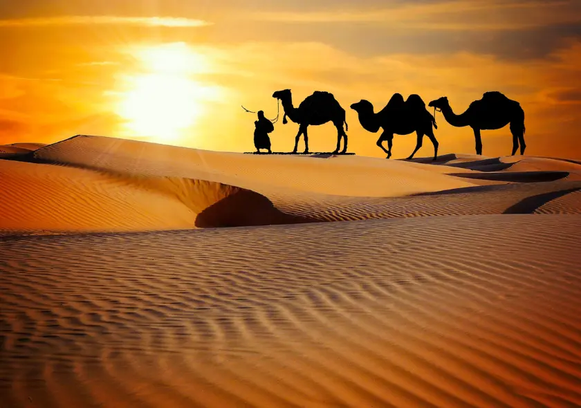 Rajasthan Palace Tour